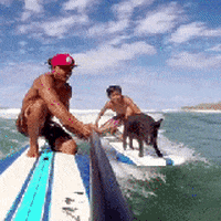 gopro GIF