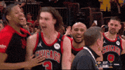 Celebration Bulls GIF by NBA