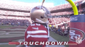 National Football League GIF by NFL