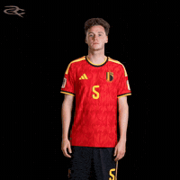 Fifa World Cup Uefa GIF by Respective