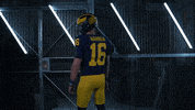 Go Blue Ncaa Football GIF by Michigan Athletics