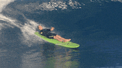 surf surfing GIF by Red Bull