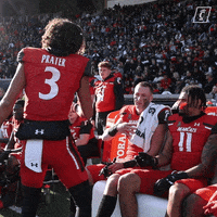 University Of Cincinnati Sport GIF by Cincinnati Bearcats