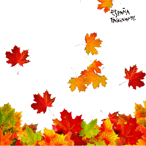 Tree Spain Sticker by España Fascinante