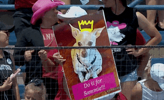 Softball Chihuahua GIF by NCAA Championships