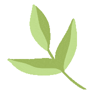 chieative flower aesthetic leaf floral Sticker