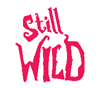 Wild Sticker by BeWILDerwood