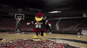 South Carolina Basketball GIF by University of South Carolina