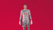 The Wall No GIF by RB Leipzig