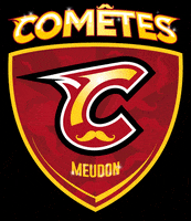 meudonhockeyclub logo hockey shining Movember GIF