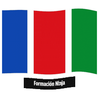 Bandera Sticker by Formación Ninja