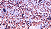 Navy Football The Brigade GIF by Navy Athletics