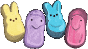 Easter Bunny Sticker