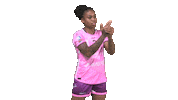 NAHB_officiel handball nantes lbe nahb Sticker