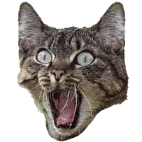 Cat Screaming Sticker