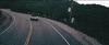the jazz june GIF by Topshelf Records
