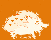 Hedgehog Kanagawa GIF