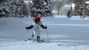 bigblue GIF by Utah State University
