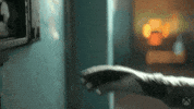 Turn It Up Machines GIF by Xbox