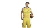 Liga Endesa Basketball Sticker by ACB