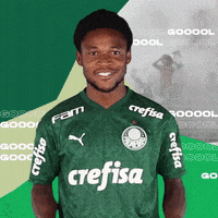 Puma Libertadores GIF by SE Palmeiras