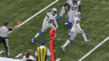 GIF by Detroit Lions
