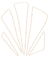 Pop Line Sticker