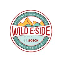 Ride E-Bike Sticker
