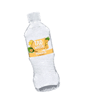 Tadwater Sticker by TAD Flavoured Water