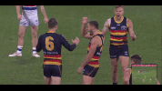 afl GIF by Adelaide Crows