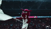 College Basketball GIF by Arkansas Razorbacks