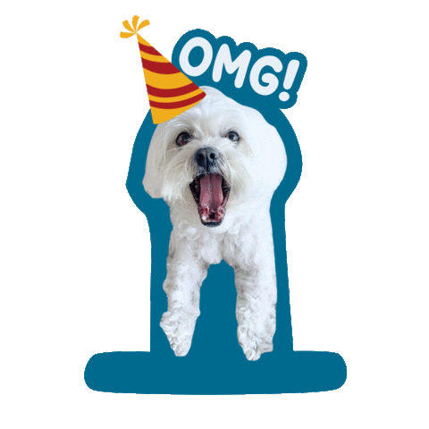 Happy Birthday Dog Sticker by Awesome Pawsome Treats