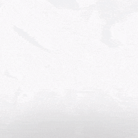 Hockey Eisbaeren GIF by Eisbären Berlin