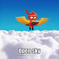Open Sky Freedom GIF by The Cardinal Virtue