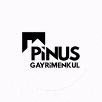 Pinus GIF by Bergama Gündem - Şehrin Gündemi
