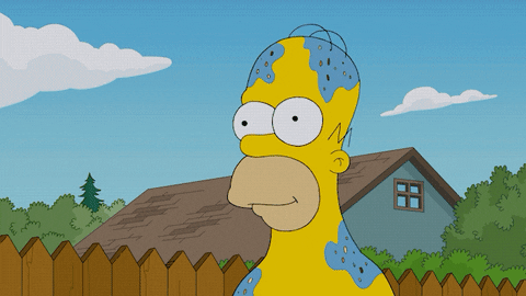 Confused Homer Simpson GIF by FOX TV