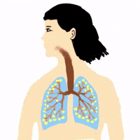 Life Breathe GIF by Barbara Pozzi