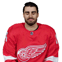 Red Wings Hockey Sticker by Detroit Red Wings