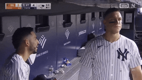 Celebrate New York Yankees GIF by MLB
