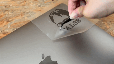 Sarah-igh giphygifmaker vinylsticker GIF