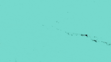 bbc three lets settle this GIF by BBC