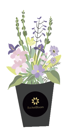 Bucketbloom_flowers giphyupload flower flowers bucket Sticker