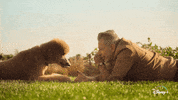 Jeff Goldblum Dogs GIF by National Geographic Channel