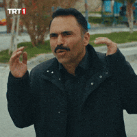 Loud Noise GIF by TRT