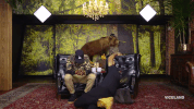 GIF by Desus & Mero