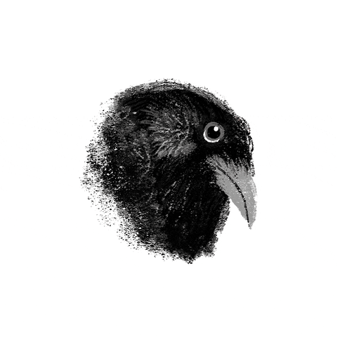 Amanda_Siworae giphyupload GIF