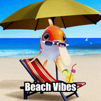 Summer Beach GIF by TheConfishius