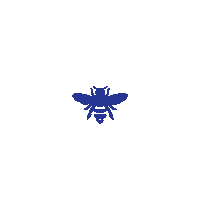Bee Honey Sticker by Bednight Stories