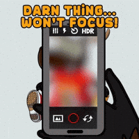 DoYouMoose nft camera picture blockchain GIF