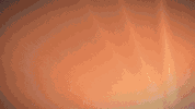 color colorboxstudio GIF